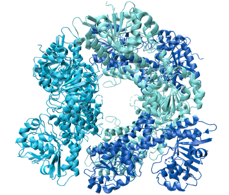 Un produit biologique à base de protéine, ou médicaments à grosses   molécules 