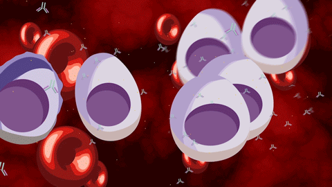 An animation of multiple myeloma cells